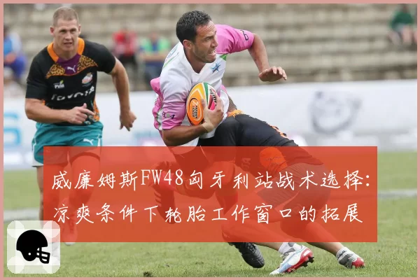 威廉姆斯FW48匈牙利站战术选择：凉爽条件下轮胎工作窗口的拓展