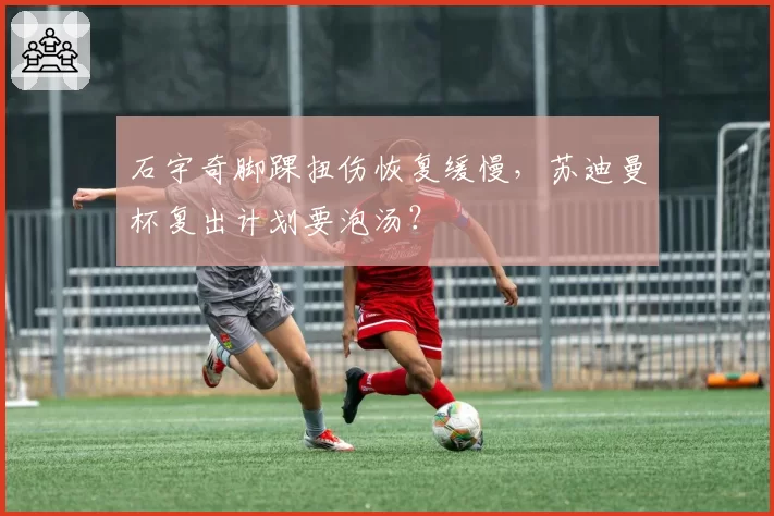 石宇奇脚踝扭伤恢复缓慢，苏迪曼杯复出计划要泡汤？