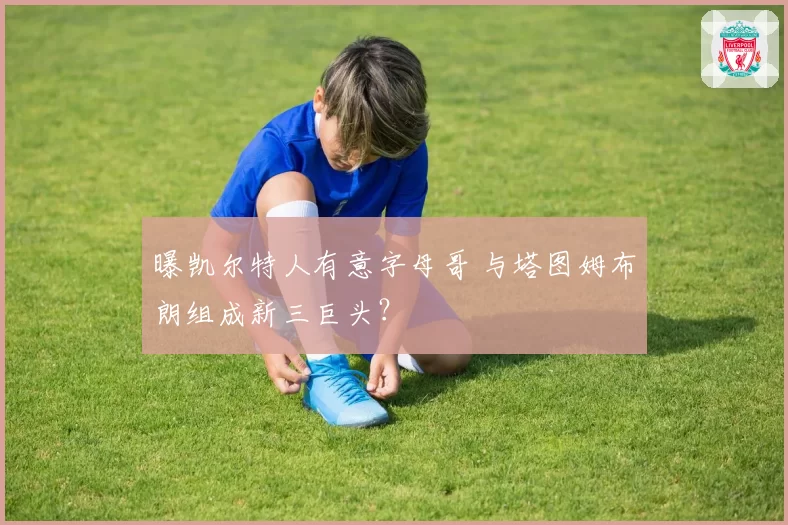 曝凯尔特人有意字母哥 与塔图姆布朗组成新三巨头?