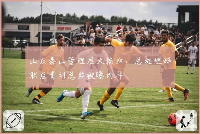 山东泰山管理层大换血,总经理辞职后青训总监被曝内斗
