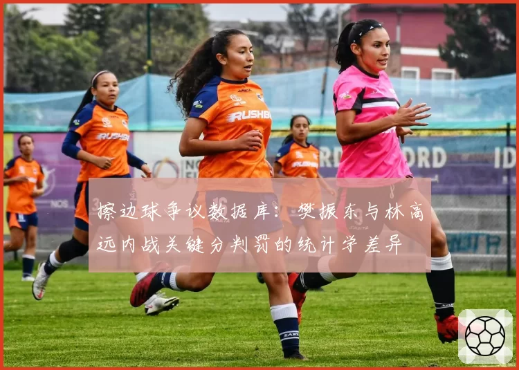 擦边球争议数据库：樊振东与林高远内战关键分判罚的统计学差异