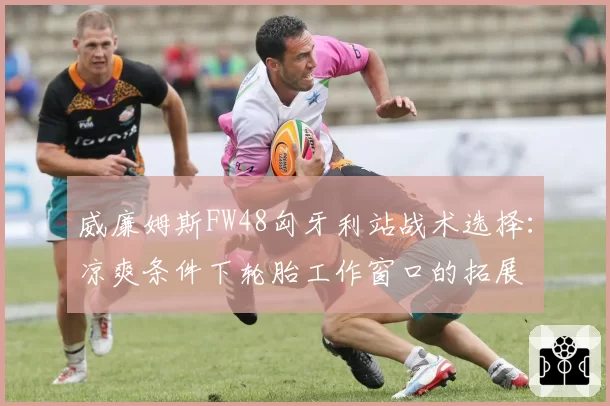 威廉姆斯FW48匈牙利站战术选择：凉爽条件下轮胎工作窗口的拓展