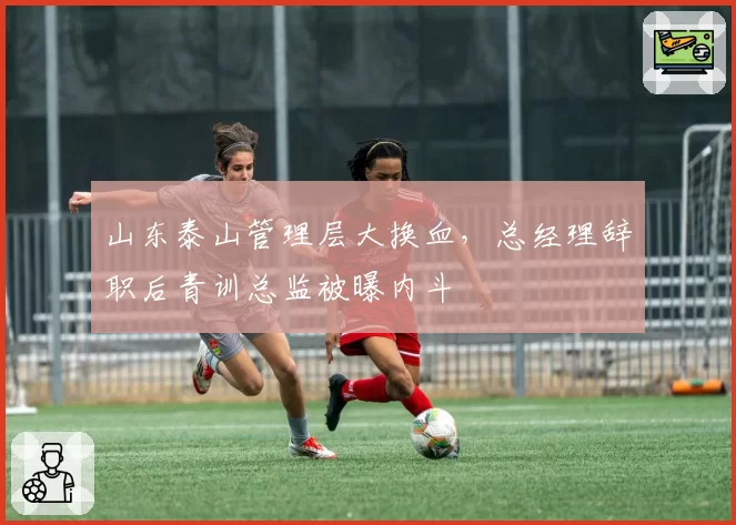 山东泰山管理层大换血,总经理辞职后青训总监被曝内斗